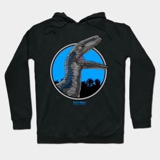 Jurassic world, Blue Hoodie